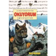 Sivrikulak                                                                                                                                                                                                                                                     