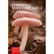 Türkiye’nin Mantarları - 1 (Özgün Mantar İllüstras                                                                                                                                                                                                             