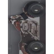 Van Gogh ve Ayçiçekleri                                                                                                                                                                                                                                        