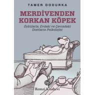 Merdivenden Korkan Köpek                                                                                                                                                                                                                                       