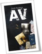 Av                                                                                                                                                                                                                                                             