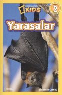 Yarasalar - Seviye 2                                                                                                                                                                                                                                           