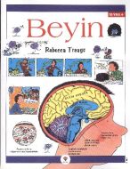Beyin                                                                                                                                                                                                                                                          