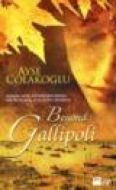Beyond Gallipoli                                                                                                                                                                                                                                               