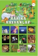 Harika Hayvanlar                                                                                                                                                                                                                                               