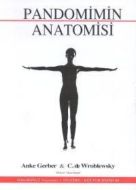 Pandomimin Anatomisi                                                                                                                                                                                                                                           