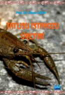 Tatlısu İstakozu Üretimi                                                                                                                                                                                                                                       