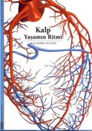 Kalp Yaşam Ritmi                                                                                                                                                                                                                                               