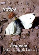 Öyküsüz Bal Çiçekleri                                                                                                                                                                                                                                          