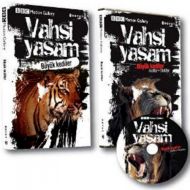 Vahşi Yaşam-Büyük Kediler                                                                                                                                                                                                                                      