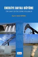 Enerjiye Dayalı Büyüme                                                                                                                                                                                                                                         