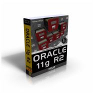 Oracle 11g R2                                                                                                                                                                                                                                                  