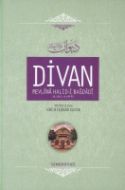 Divan Mevlana Halidi Bağdadi ( Ciltli )                                                                                                                                                                                                                        