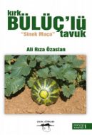 Kırk Bülüç