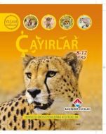 Yaşam Döngüsü: Çayırlar                                                                                                                                                                                                                                        