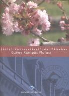Boğaziçi Üniversitesi