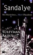 Sandalye Ben Büyüyünce... Mavi Olacaktım                                                                                                                                                                                                                       