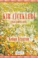 Kır Çiçekleri                                                                                                                                                                                                                                                  