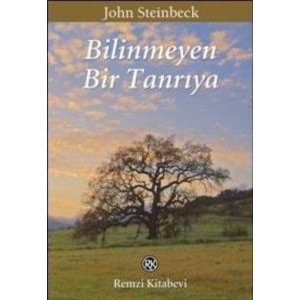 Bilinmeyen Bir Tanrıya                                                                                                                                                                                                                                         