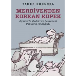 Merdivenden Korkan Köpek                                                                                                                                                                                                                                       