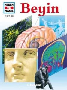 Neden ve Nasıl Cilt 10: Beyin                                                                                                                                                                                                                                  
