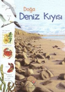 Doğa - Deniz Kıyısı                                                                                                                                                                                                                                            