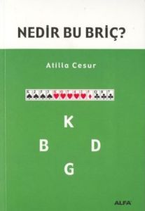 Nedir Bu Briç?                                                                                                                                                                                                                                                 