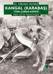 Kangal (Karabaş) Türk Çoban Köpeği                                                                                                                                                                                                                             
