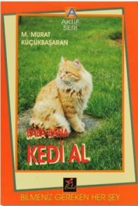 Baba Bana Kedi Al                                                                                                                                                                                                                                              