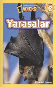 Yarasalar - Seviye 2                                                                                                                                                                                                                                           