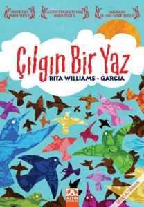 Çılgın Bir Yaz                                                                                                                                                                                                                                                 