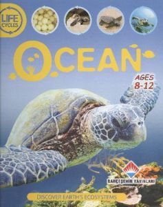 Life Cycles - Ocean                                                                                                                                                                                                                                            