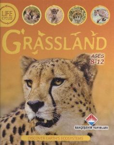 Life Cycles - Grassland                                                                                                                                                                                                                                        