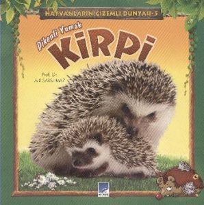 Dikenli Yumak Kirpi                                                                                                                                                                                                                                            