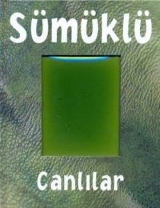 Sümüklü Canlılar                                                                                                                                                                                                                                               