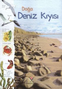 Doğa - Deniz Kıyısı (Ciltli)                                                                                                                                                                                                                                   