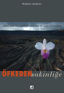 Öfkeden Sakinliğe                                                                                                                                                                                                                                              