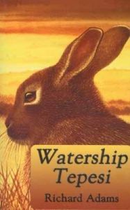 Watership Tepesi                                                                                                                                                                                                                                               