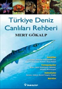 Türkiye Deniz Canlıları Rehberi                                                                                                                                                                                                                                