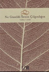 Ne Güzeldi Senin Çılgınlığın (Ciltli)                                                                                                                                                                                                                          