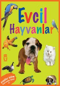 Evcil Hayvanlar                                                                                                                                                                                                                                                