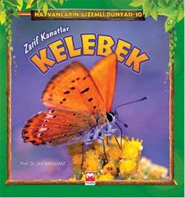 Zarif Kanatlar Kelebek                                                                                                                                                                                                                                         