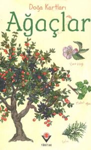 Doğa Kartları - Ağaçlar                                                                                                                                                                                                                                        