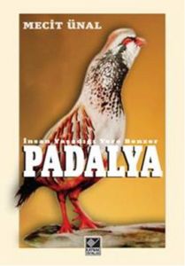 Padalya                                                                                                                                                                                                                                                        