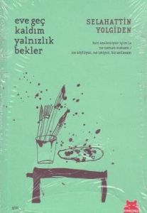 Eve Geç Kaldım Yalnızlık Bekler                                                                                                                                                                                                                                