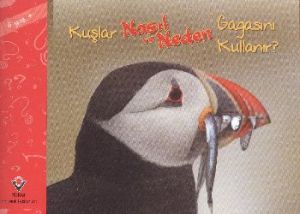 Kuşlar Nasıl ve Neden Gagasını Kullanır                                                                                                                                                                                                                        