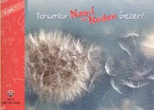 Tohumlar Nasıl ve Neden Gezer                                                                                                                                                                                                                                  