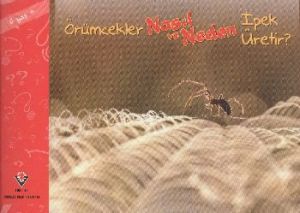 Örümcekler Nasıl ve Neden İpek Üretir                                                                                                                                                                                                                          
