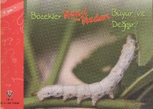 Böcekler Nasıl ve Neden Büyür ve Değişir                                                                                                                                                                                                                       