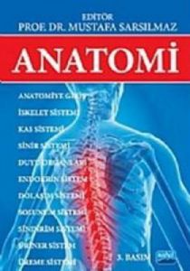 Anatomi                                                                                                                                                                                                                                                        